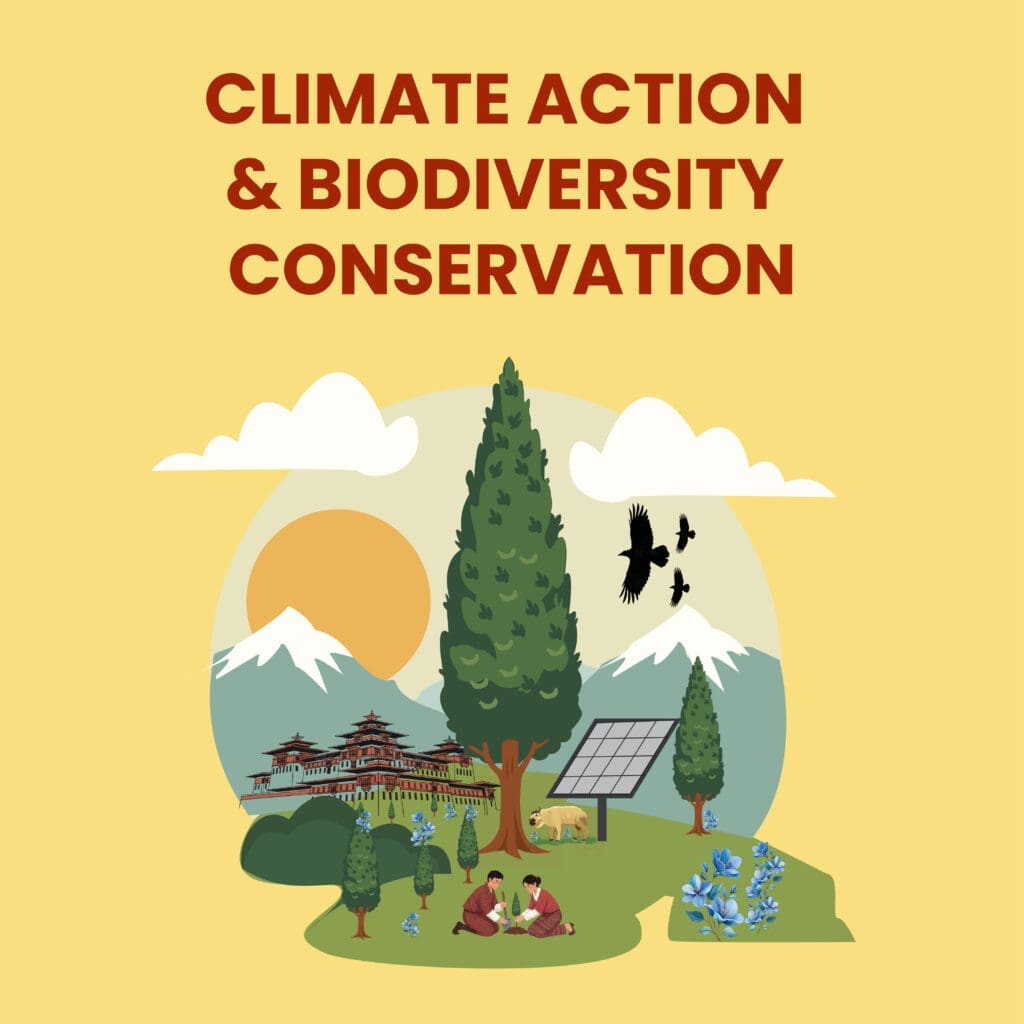 This illustration is about the focus area of impact hub Thimphu, Climate and Biodiversity Conservation