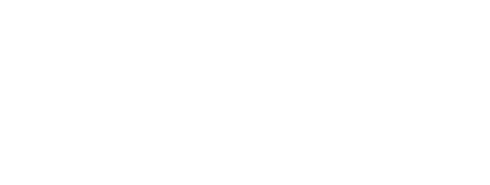 White logo of Impact Hub Thimphu