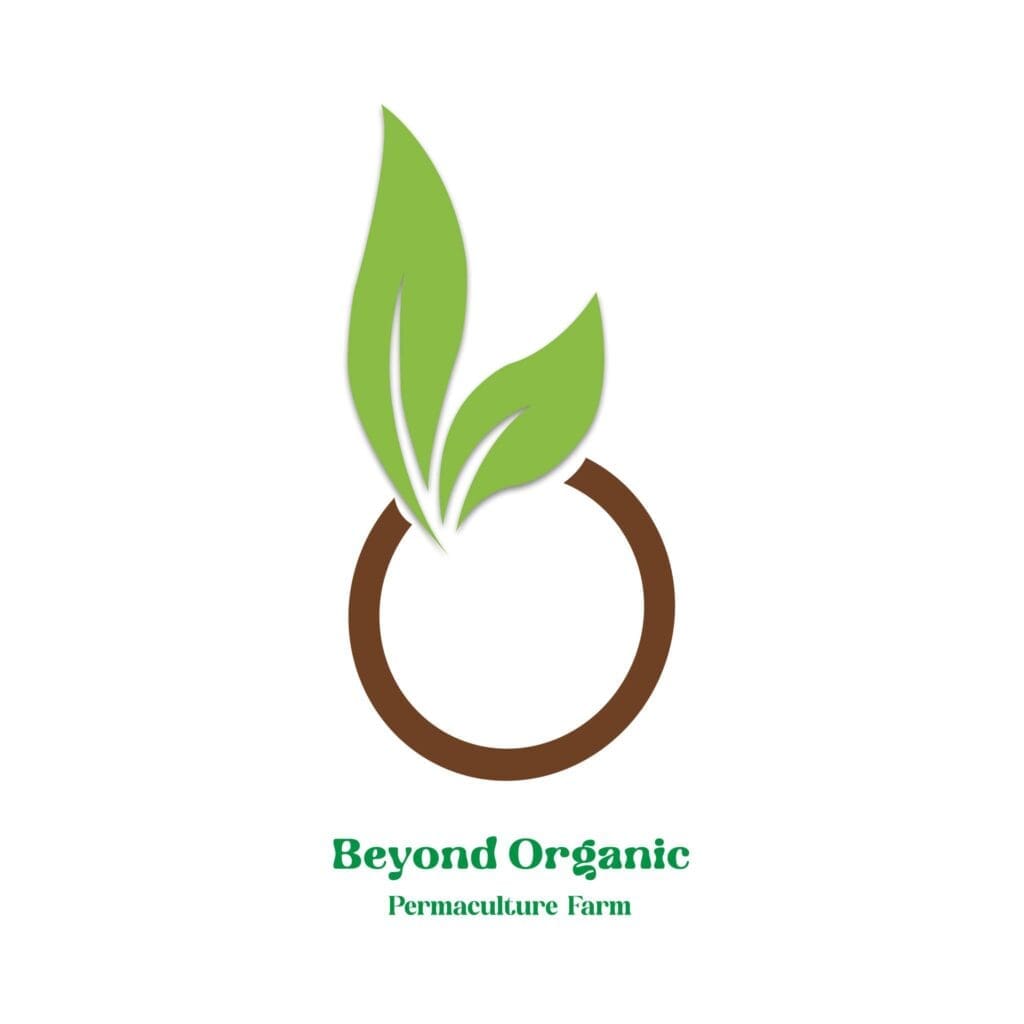logo of Beyond Organic